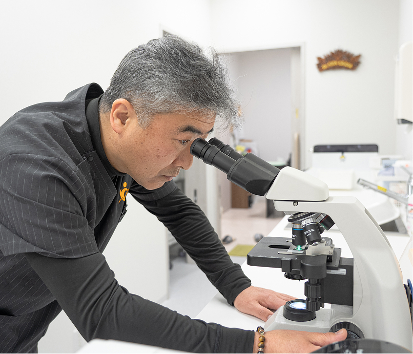 採用情報