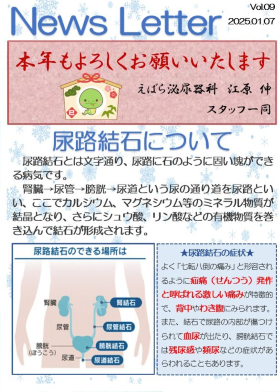 【News Letterを更新しました】尿路結石について
